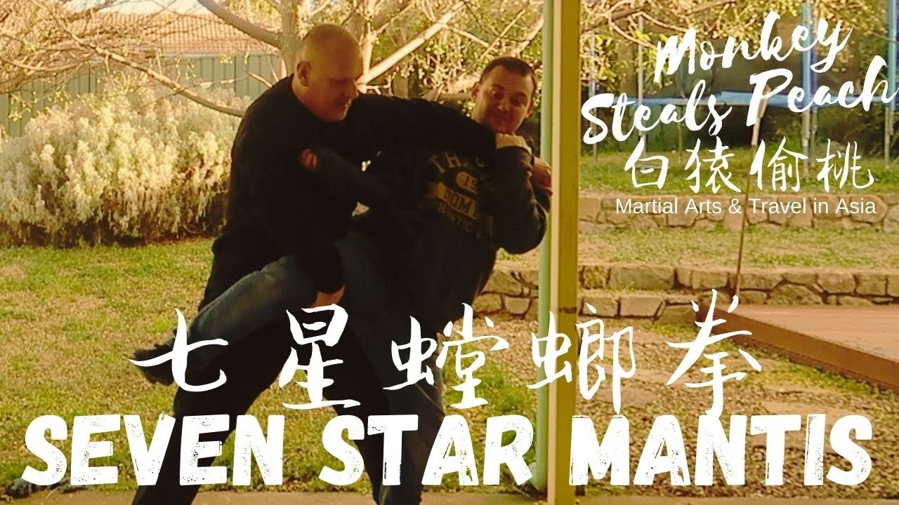 Fighting Concepts of Seven Star Mantis w Brendan Tunks p2