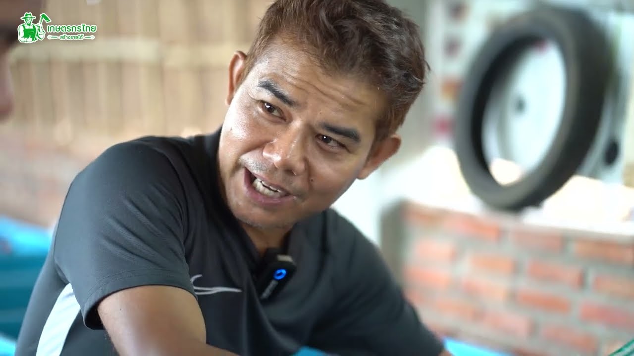 พาชมปลาหางนกยูง สร้างรายได้สูงสูด 50,000 บาท/เดือน