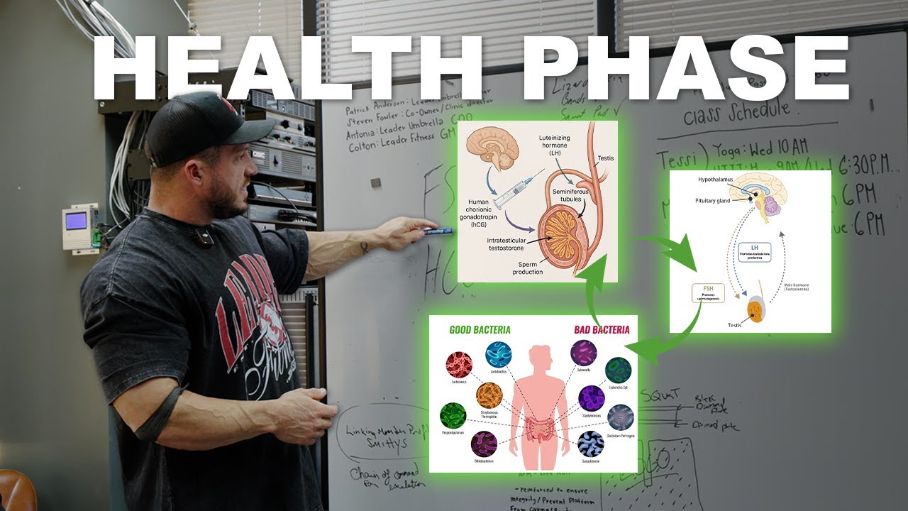 The Health Phase No One Talks About | Hormones, Gut & Fertility