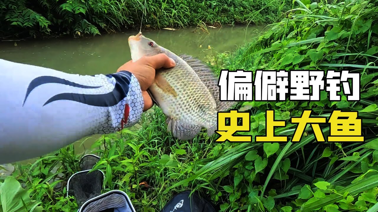 野釣偏僻釣點，窩裡炸開鍋一樣，史上最多巨物大魚！
