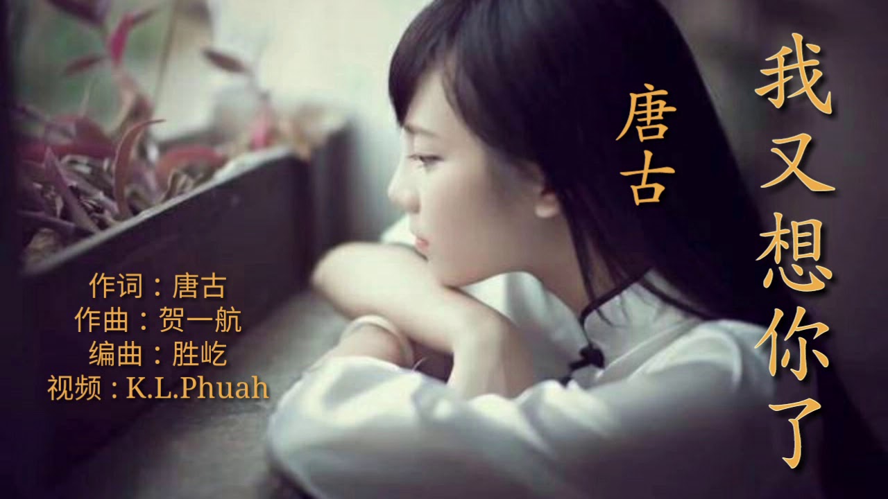 🌹我又想你了🌹  演唱 : 唐古