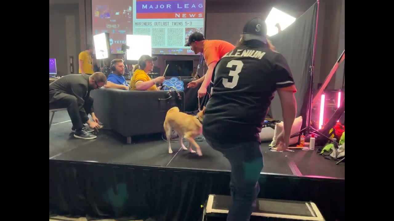 SGDQ 2024 - Peanut Butter the Shiba Inu Beats Ken Griffey Jr. Baseball