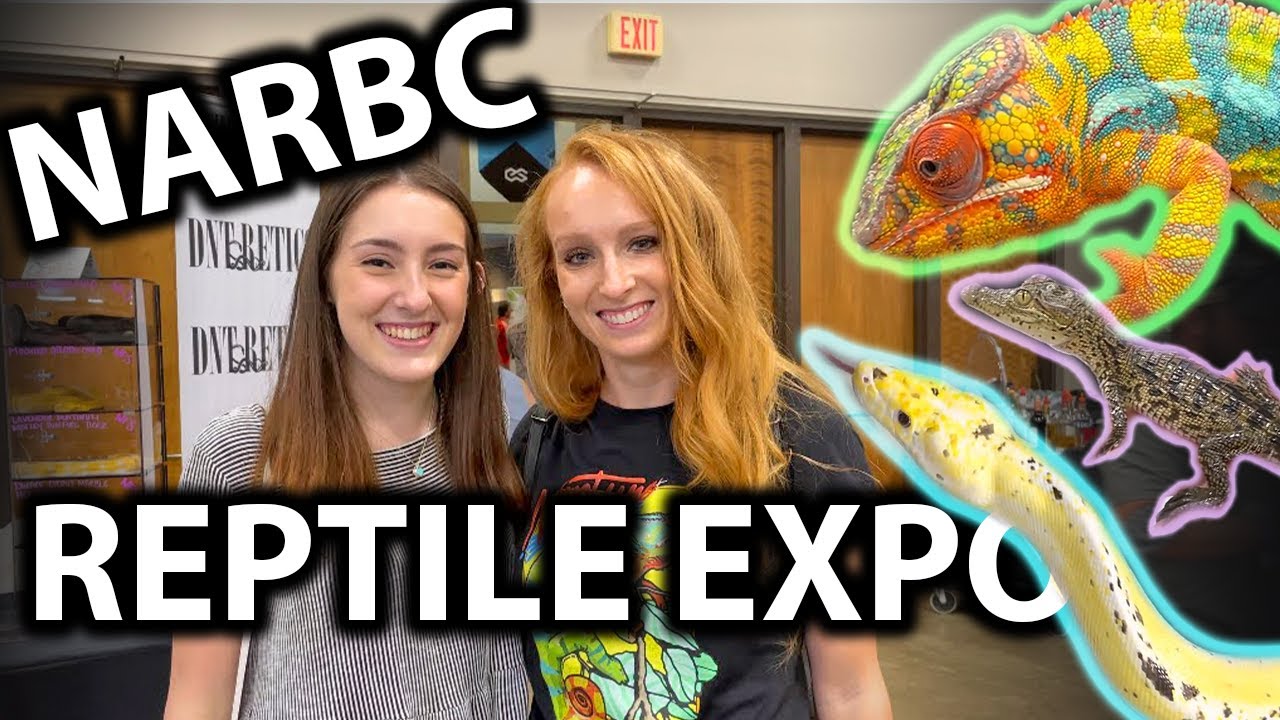 Reptile Expo 2021 | NARBC Arlington TX