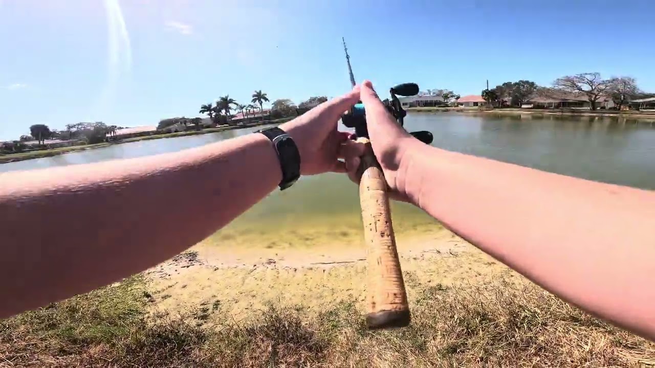 Went bass fishing nothing caught, there was a gator, subscibe