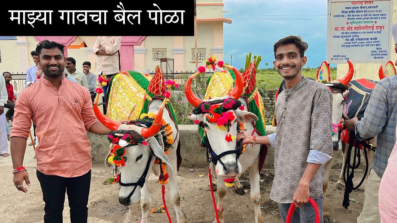 माझ्या गावचा बैल पोळा 🐂