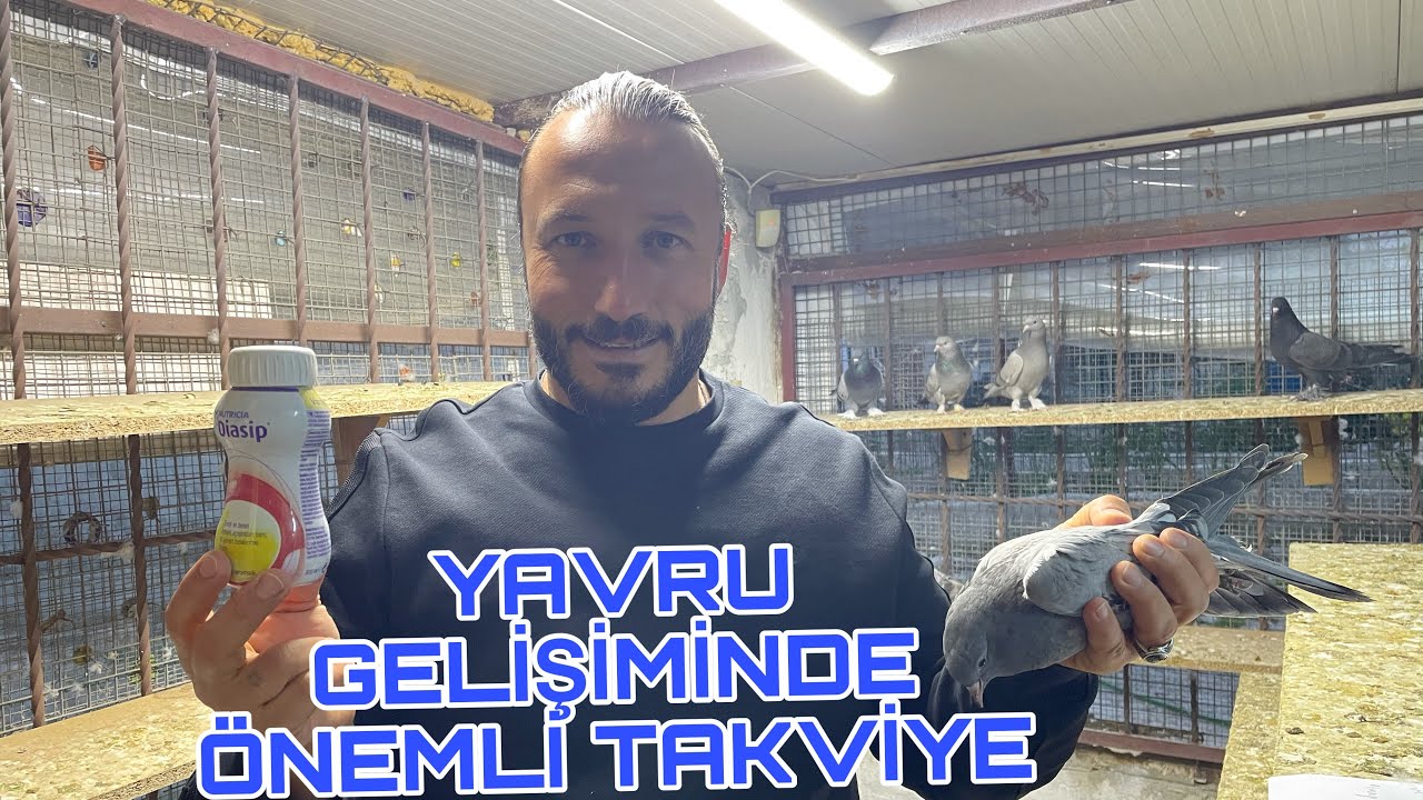 Kanatlı Hayvanlarda Yavru Takviyesi-DİASİP
