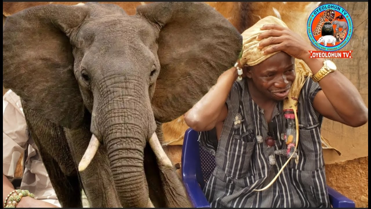 OGBOJU ODE // MO PADE IWIN (GENUS) MORI TO TAN INA SI MI LOOKAN, MO NTO EBORA (A SPIRIT) NAA LO...