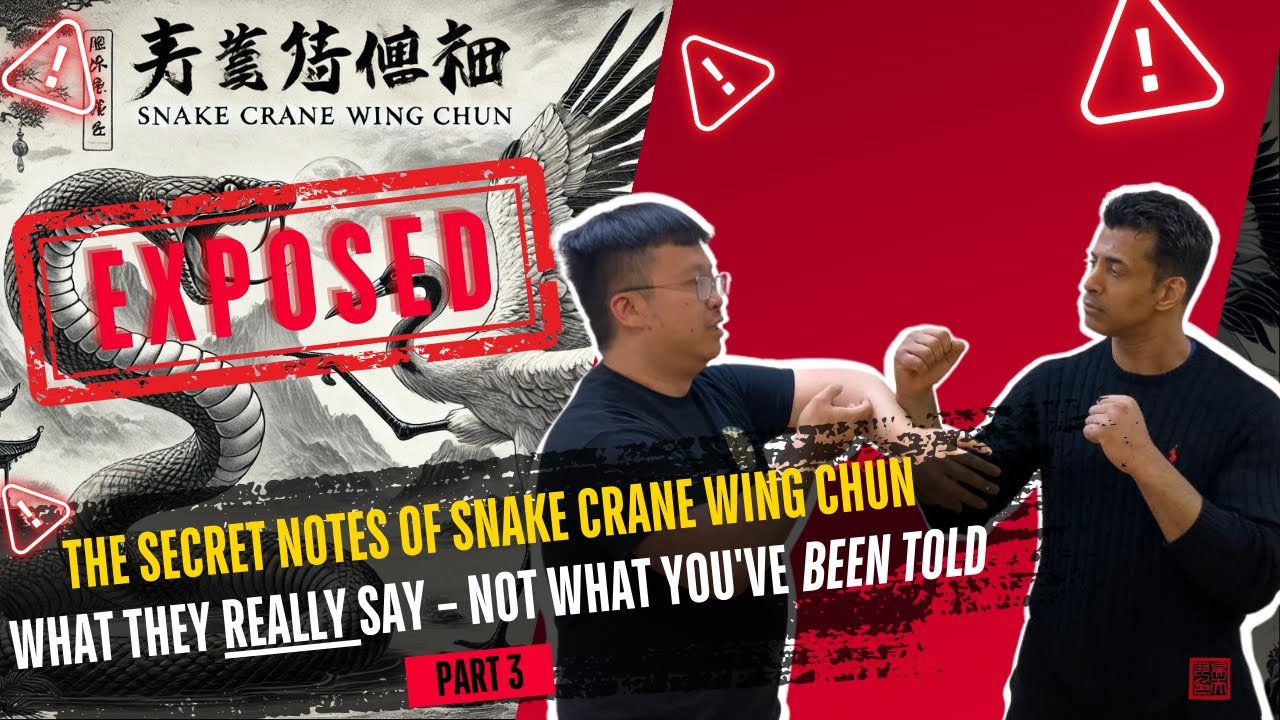 Snake Crane Wing Chun EXPOSED (Part 3): The secret Notes- What they REALLY say!