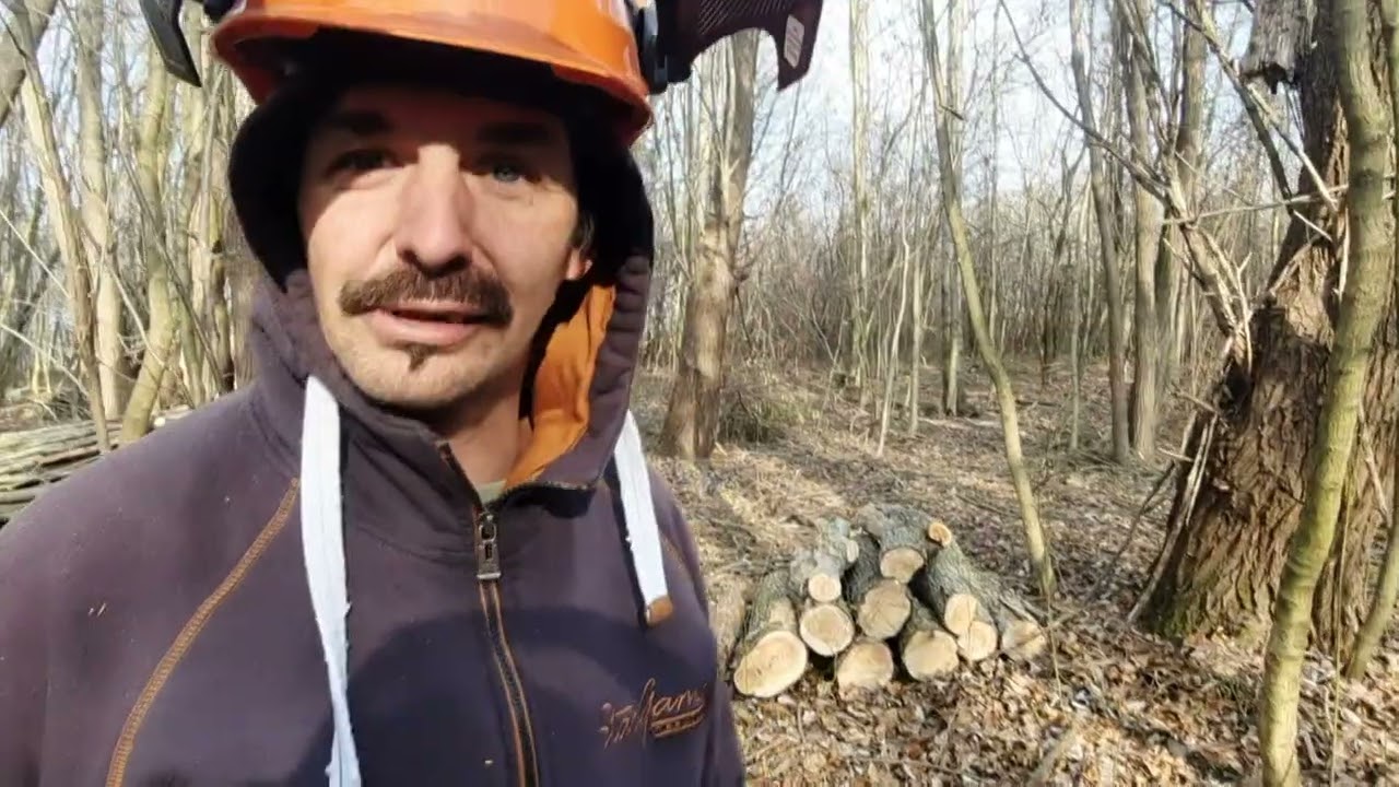 A Fűzfa, a 462, és a 666..