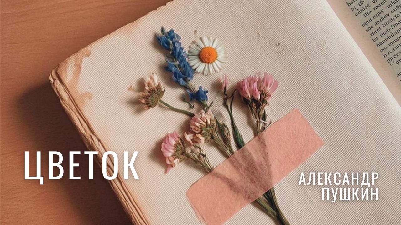 ЦВЕТОК — А.С. Пушкин | Drum and Bass & Piano Version 🌸🎹