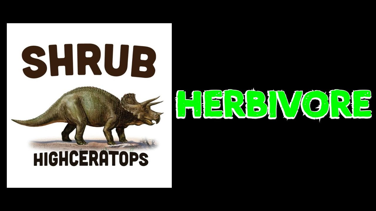 Herbivore (Shrub lyric video)