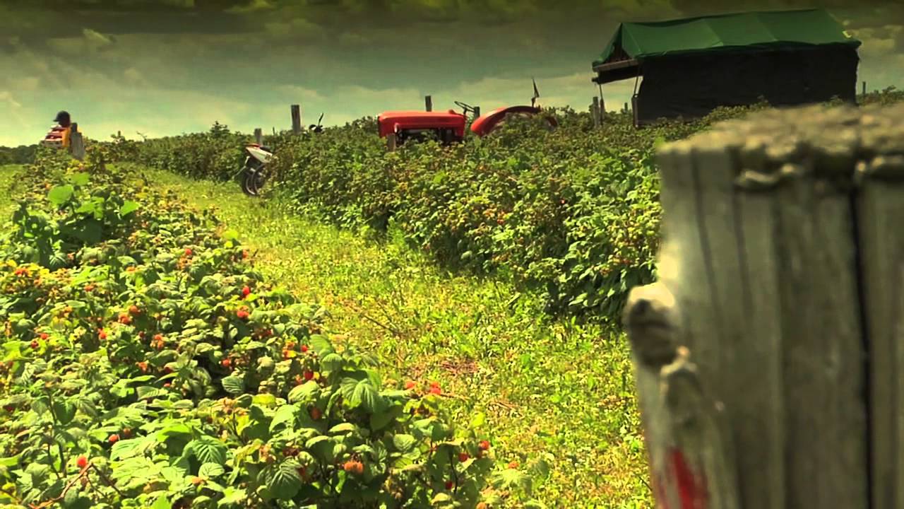 Chemins de campagne - La Ferme Perron