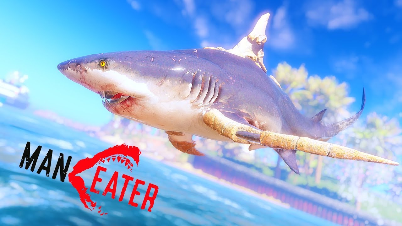 CE REQUIN N'A PAS VOTRE TEMPS (ManEater - Partie 2)