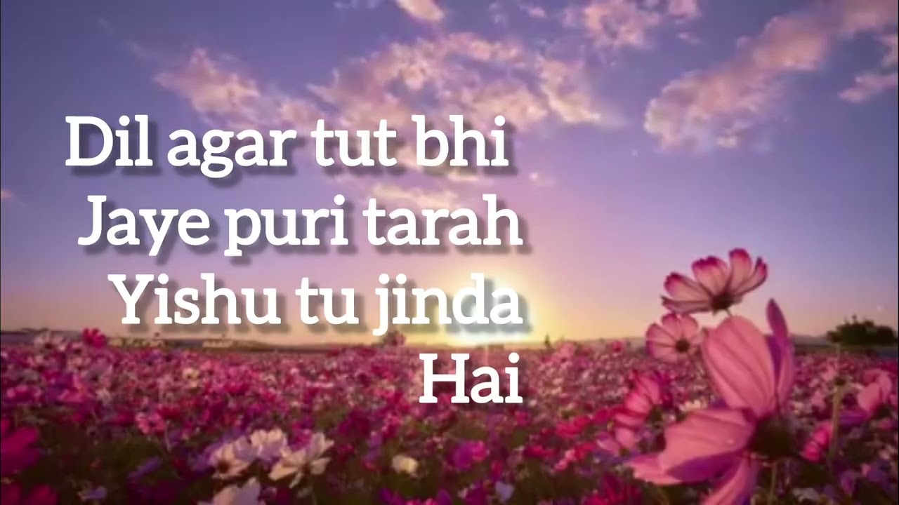 Tu mujhe Janata Hai | Hindi  lyrics Worship Song.#lyricssong#worshipsonghindi 