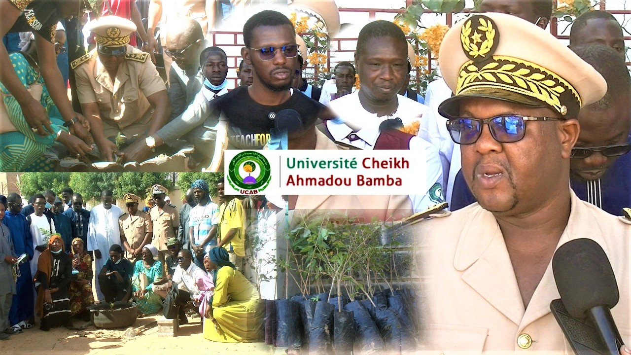 Green génération en collaboration avec UCAB a planté des arbres et fait des bancs dans l'université