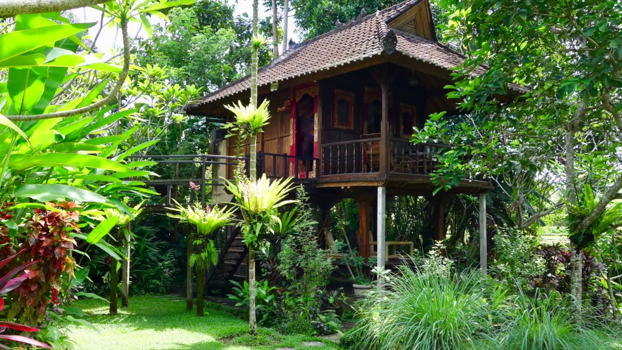 Bali Firefly, Ubud Accommodation for your private getaway