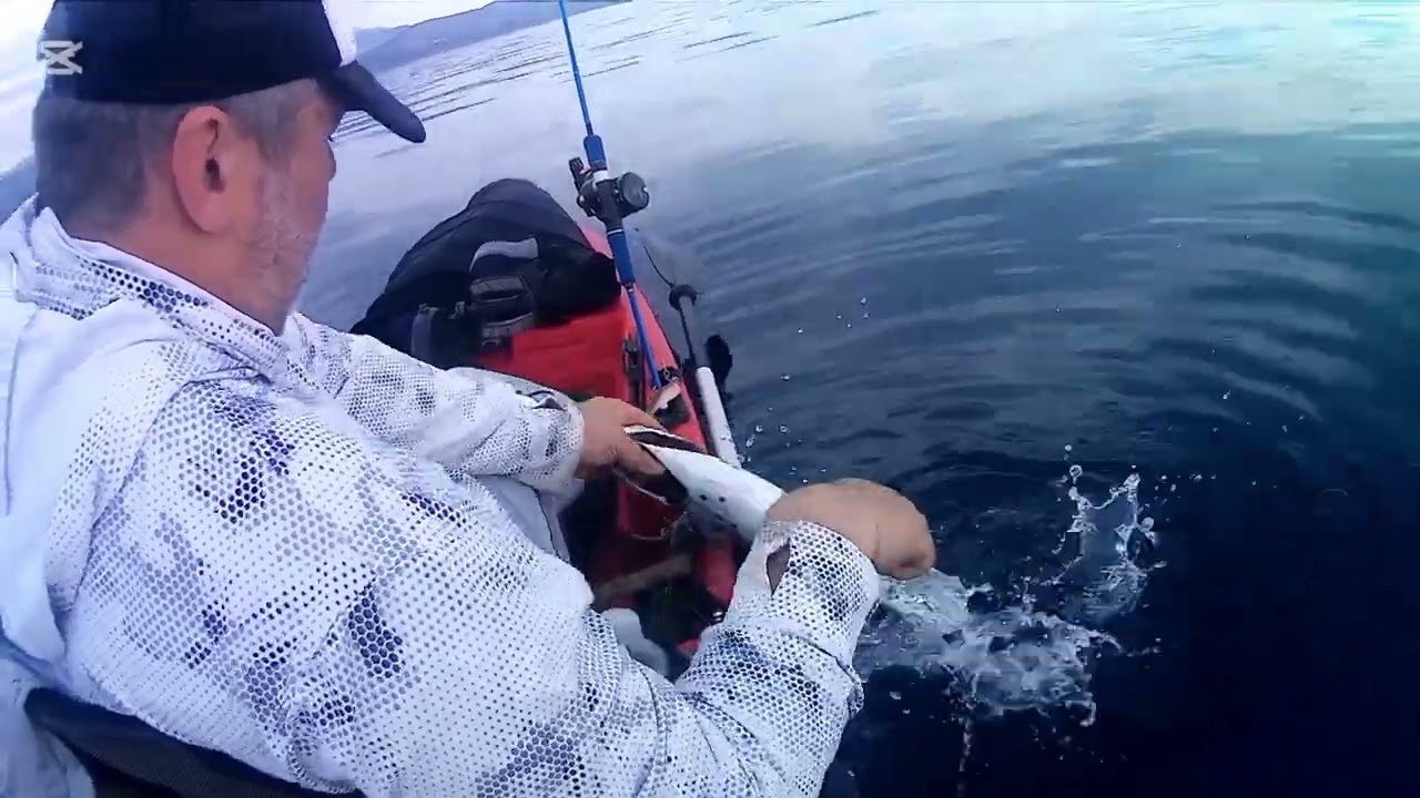 Ψάρεμα με πλάνους με slow & fast jigging ( συναγρίδα & ντασκα)