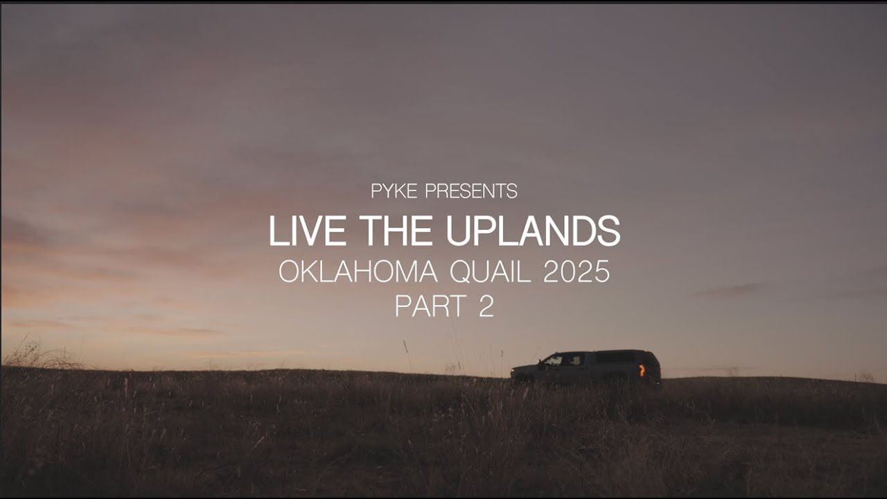 Live The Uplands: Oklahoma Quail pt2