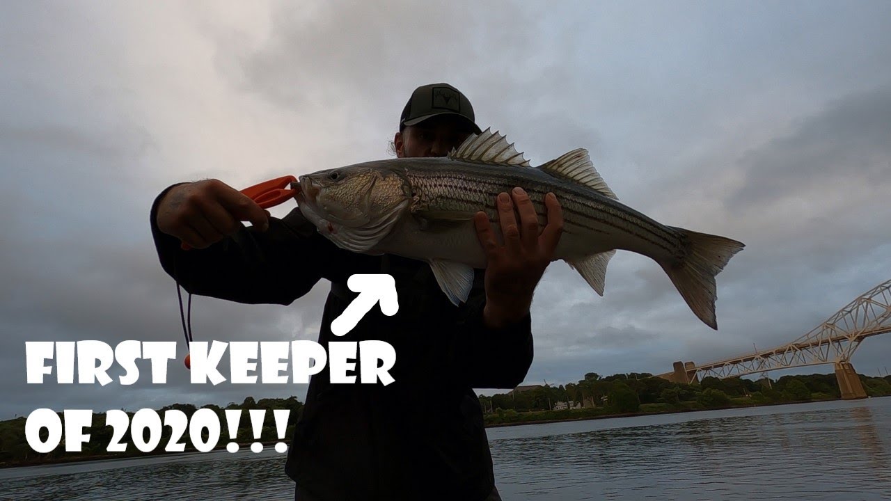 TOP WATER STRIPED BASS at the CAPE COD CANAL!!! FIRST KEEPER of 2020!!! CATCH and COOK/NEW RECIPE!!!