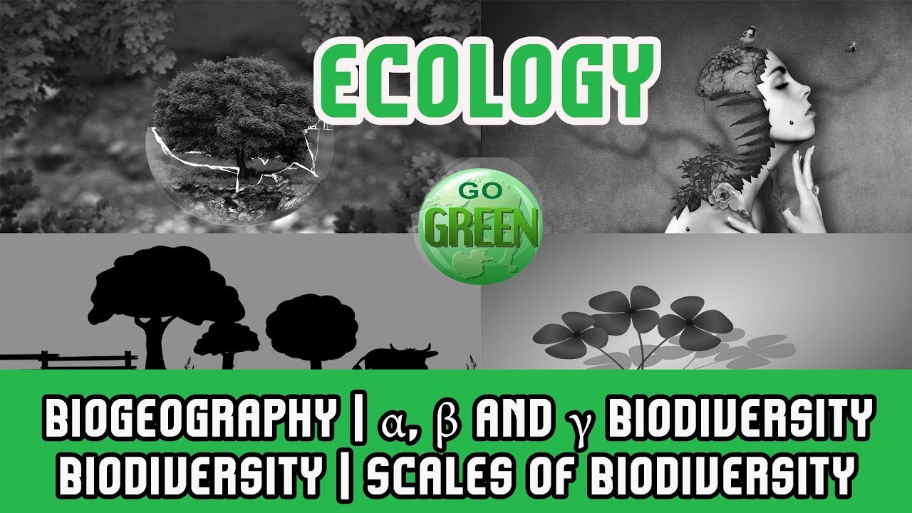 28. Ecology | Biogeography | &alpha;, &beta; and &gamma; Biodiversity | Biodiversity | Scales of Biodiversity