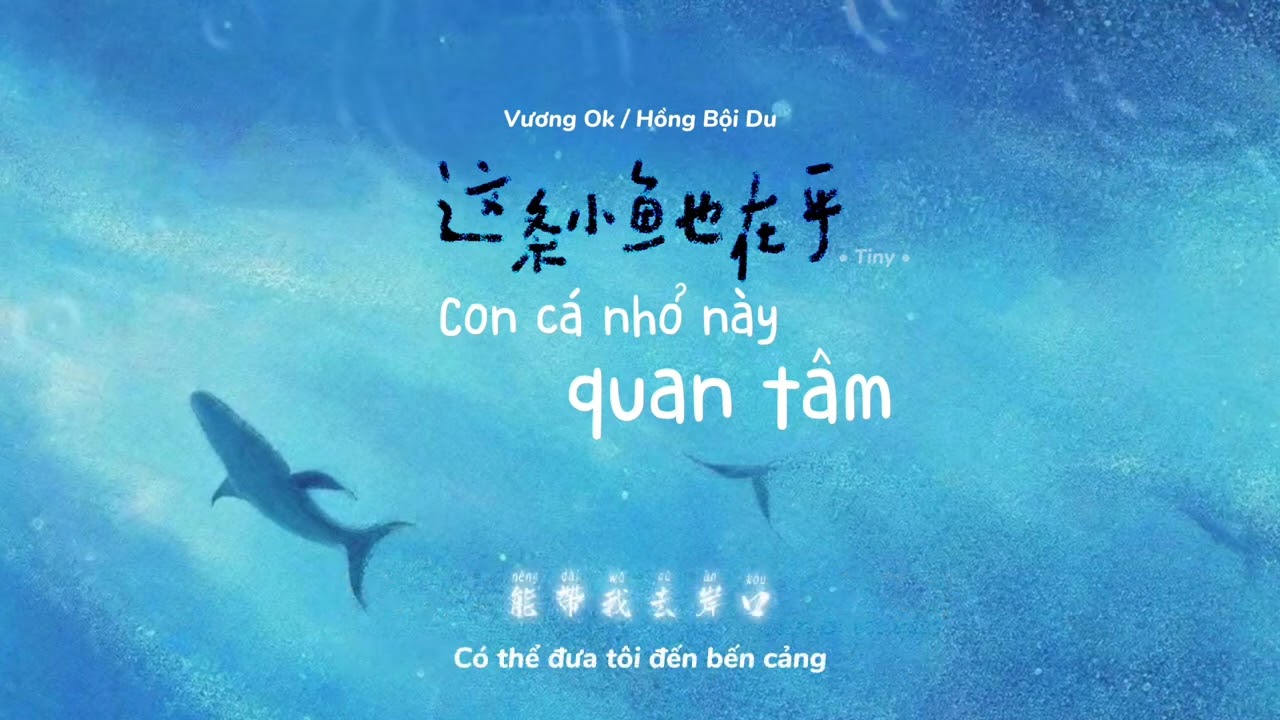 [Vietsub | Pinyin | Lyrics] Con cá nhỏ này quan tâm (这条小鱼在乎) - Vương Ok/ Hồng Bội Du