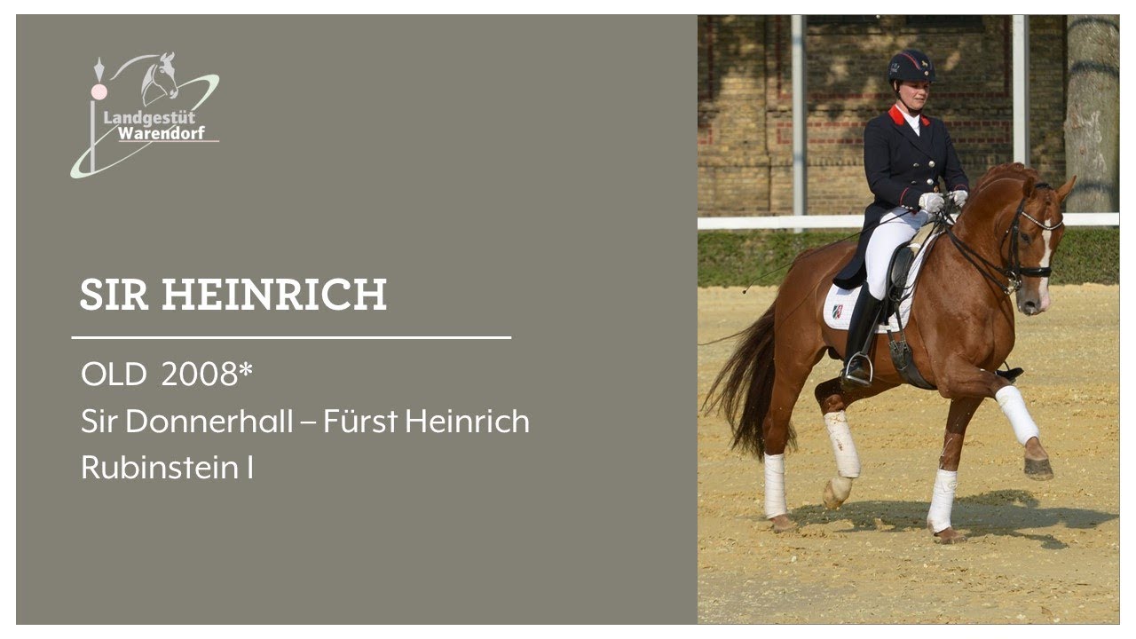 SIR HEINRICH 2018