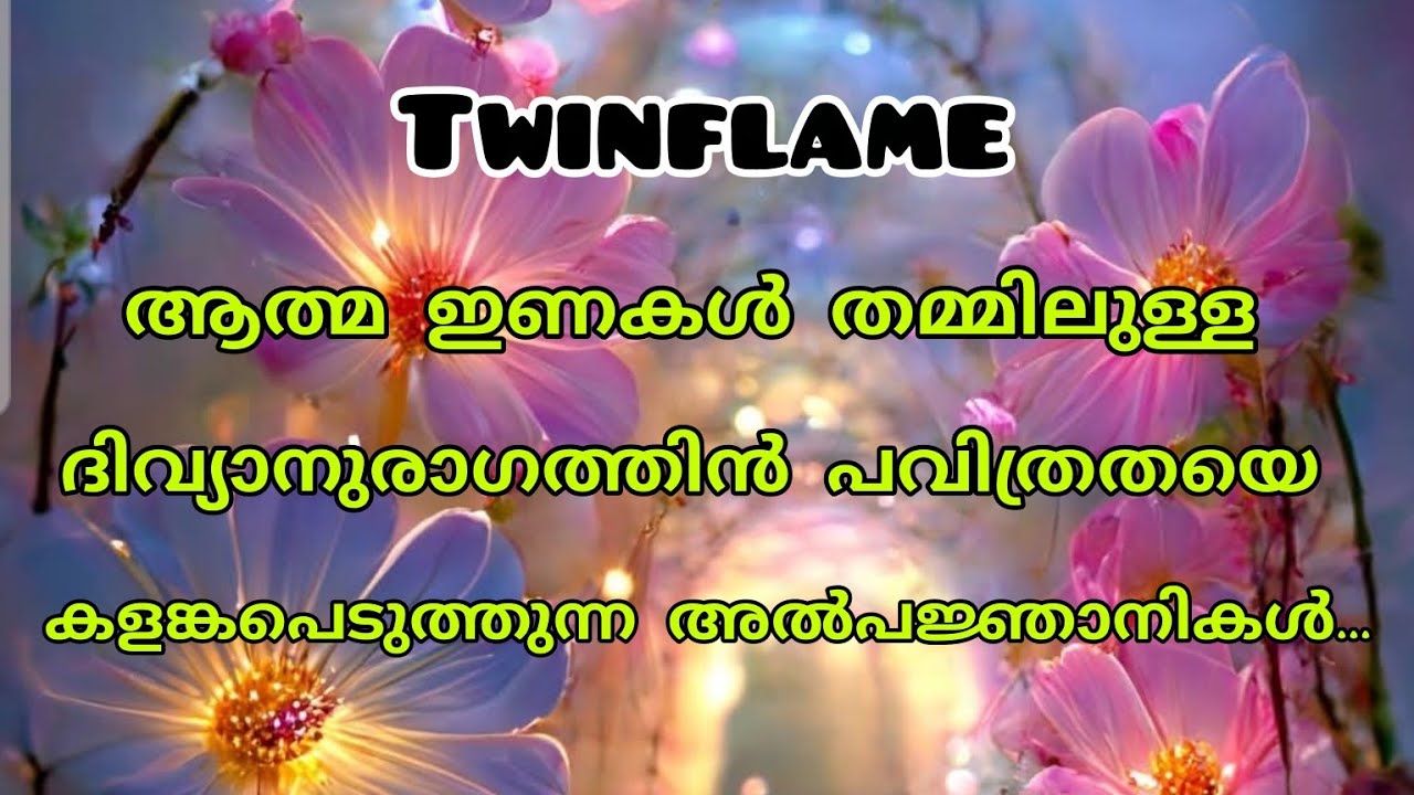 Twinflame ജേർണിയിലുള്ളവർ വിവാഹം കഴിച്ച പങ്കാളിയുമായി ശാരീരിക ബന്ധത്തിൽ ഏർപ്പെടാൻ പാടുണ്ടോ...