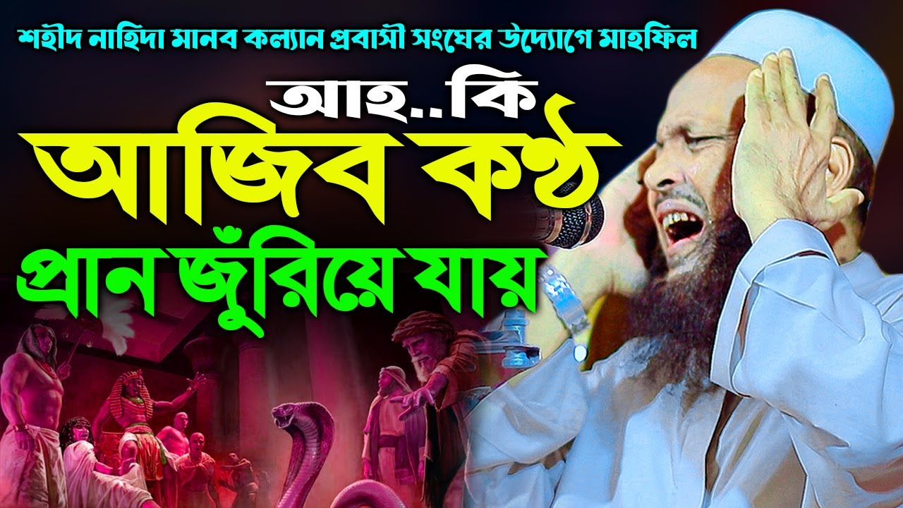 সিরাজুল ইসলাম মিরপুরী ওয়াজ। sirajul islam mirpuri waz। মূসা নবী এবং ফেরাউনের কাহিনী