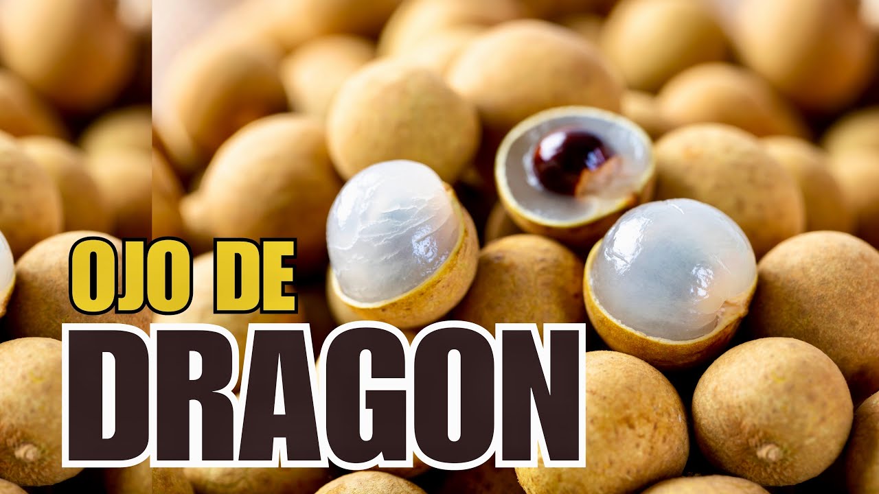 OJO DE DRAGON Y MIS DEMAS FRUTALES 😱