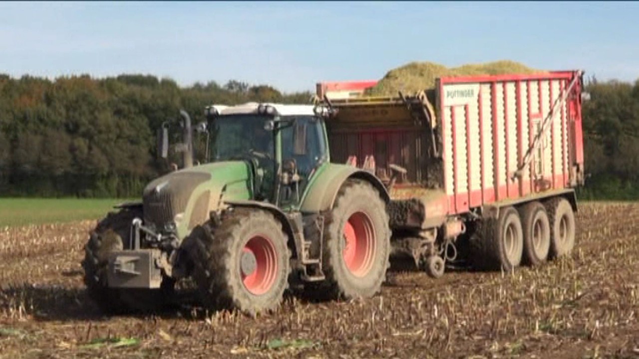Maïs 2014 | Jumpers | Claas Jaguar 980 | 6x Fendt | Kaweco | Claas Cargos | Krone | Corn harvest