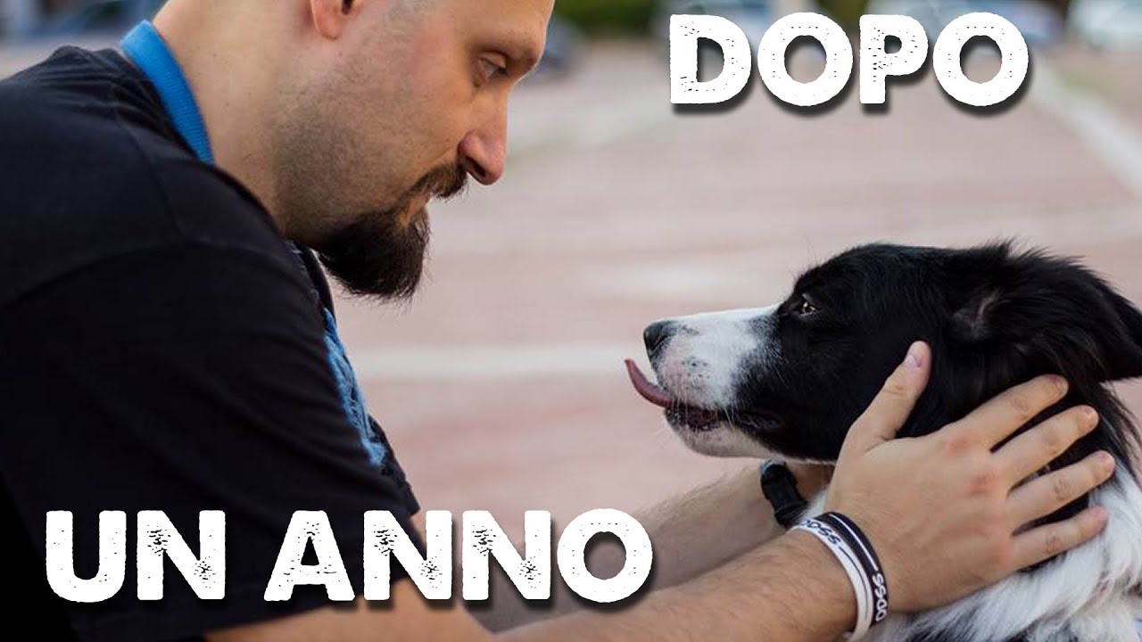UN ANNO con TOFFO - Resoconto dettagliato