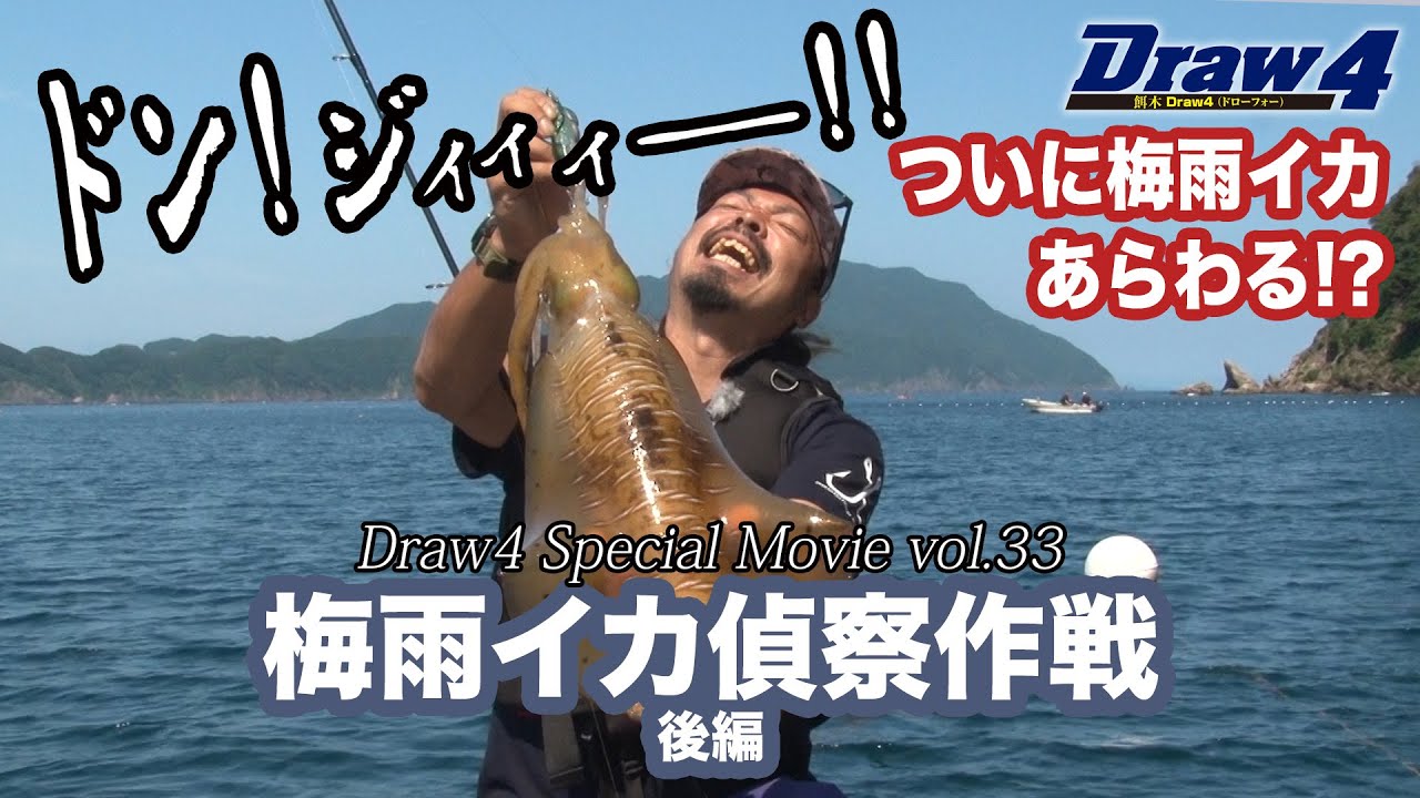 梅雨イカ偵察作戦後編【Draw4 special movie Vol.33】