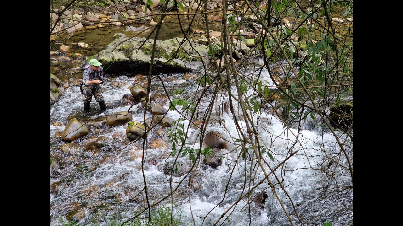 41st Fips -Mouche World Fly Fishing 2022 Asturias 1r y 2º día competición
