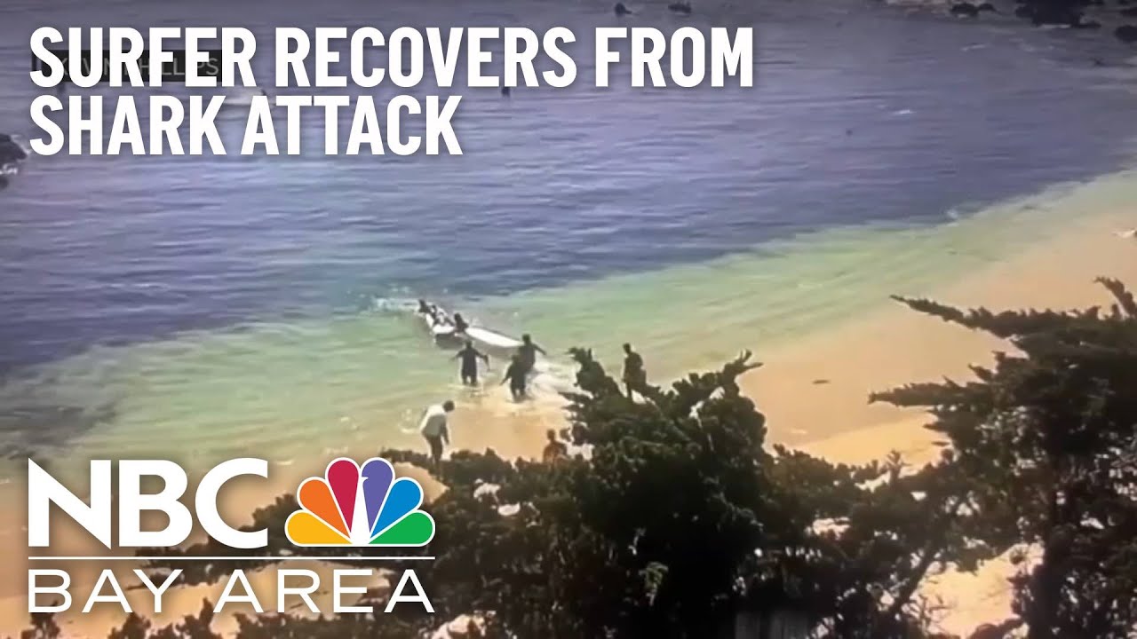 Surfer Recovers From Shark Attack in Monterey County