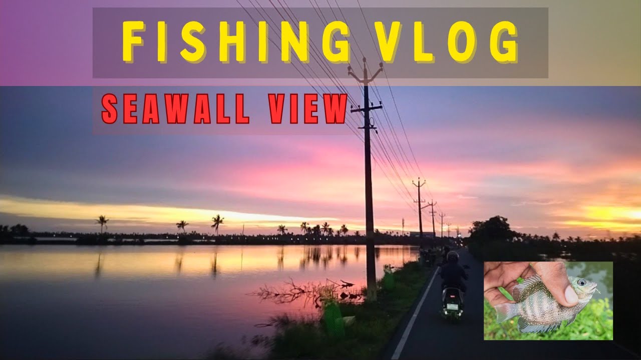🔥Kerala River Fishing 🎣 | Stunning Seawall Sunset View | kochi