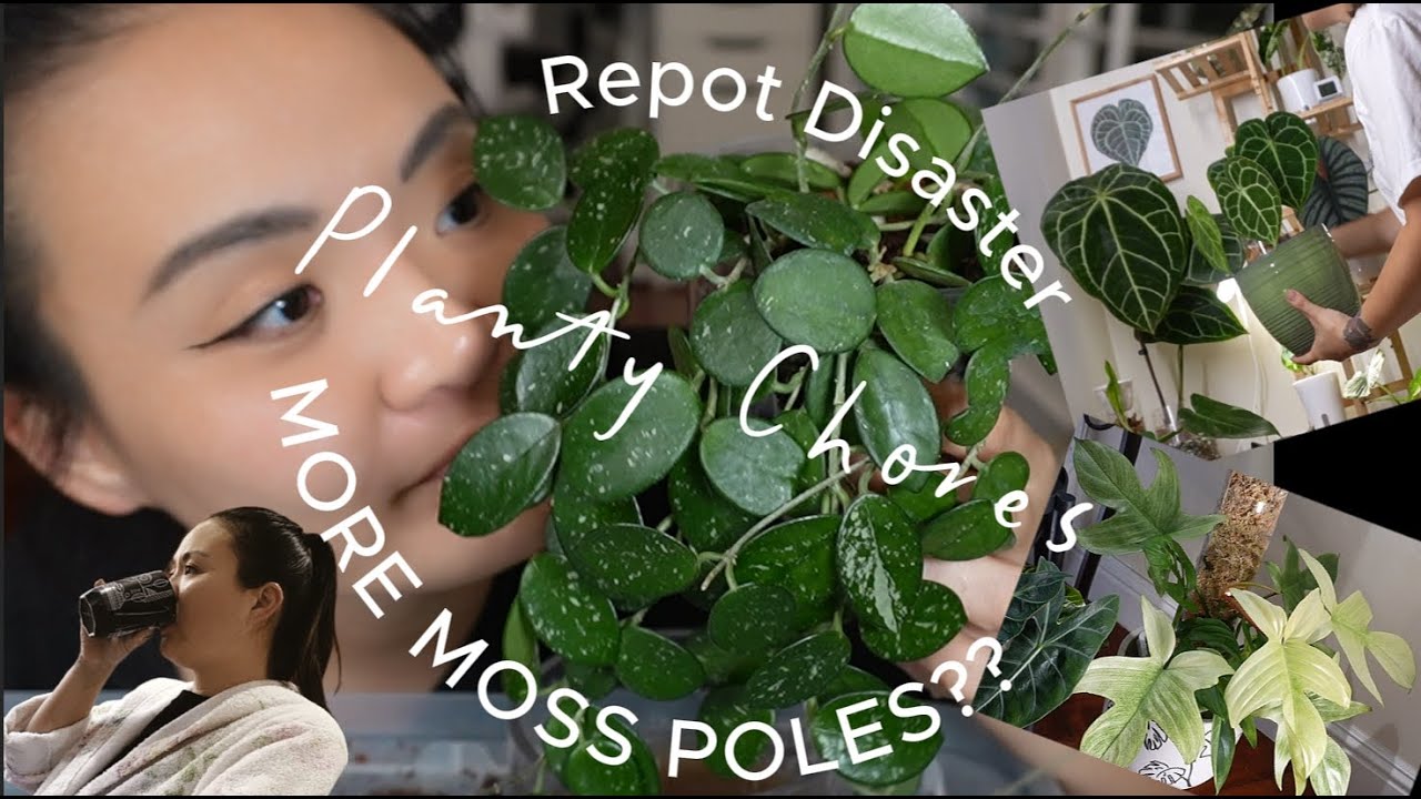 2026 is here AND I am Back! Planty chores while my whole family was sick... It was a rough month