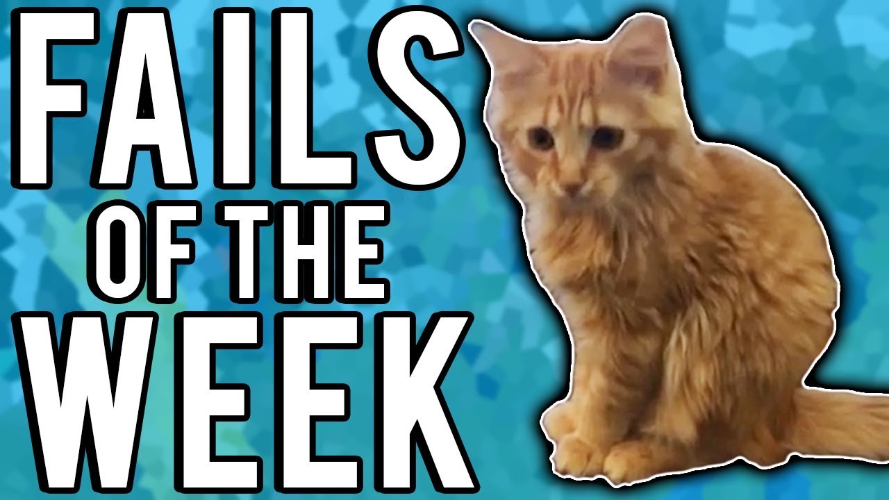 The Best Fails Of The Week September 2017 | Week 4 | A Fail Compilation By FailUnited