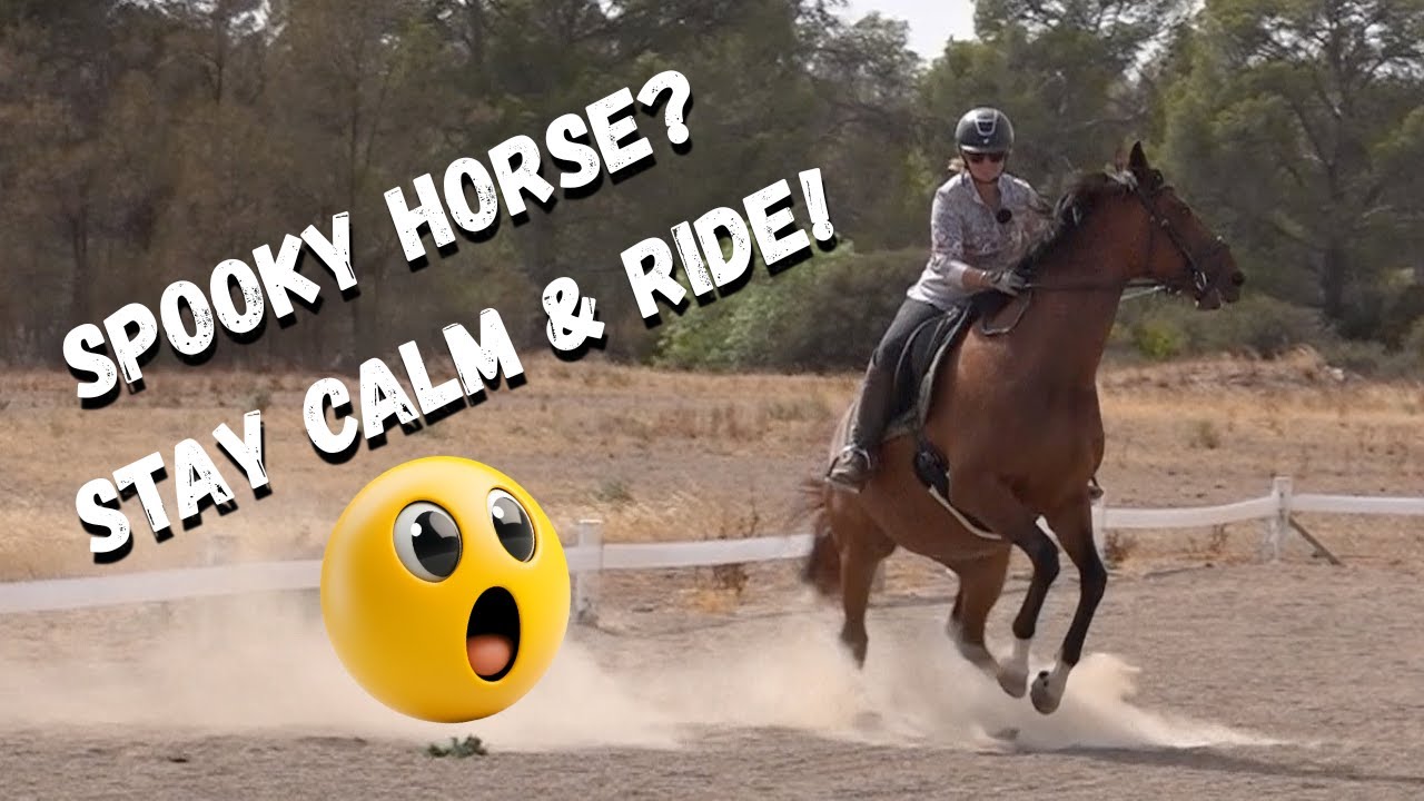 5 Essential Tips to Keep Your Young Horse CALM on First Rides