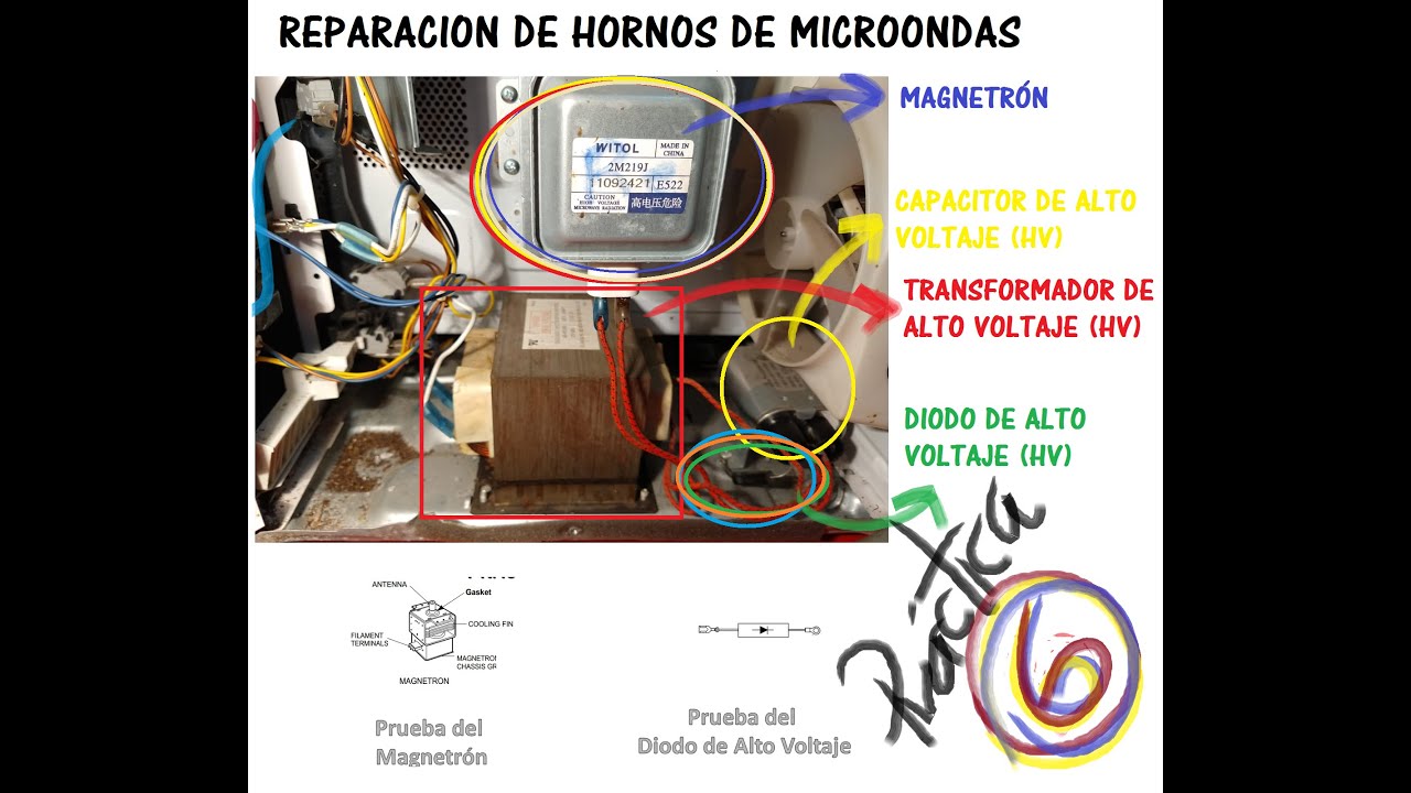 Practica 6 Prueba del Diodo de Alto Voltaje y Magnetrón de un Horno de Microondas
