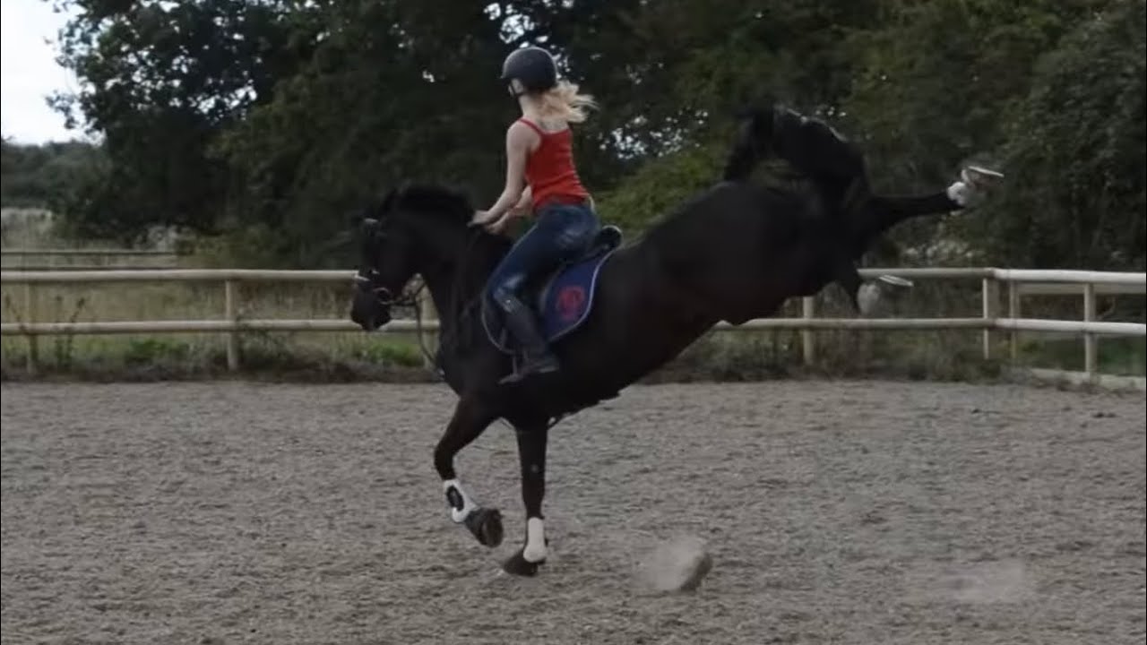 REACTING TO TRYING MY HORSES 2