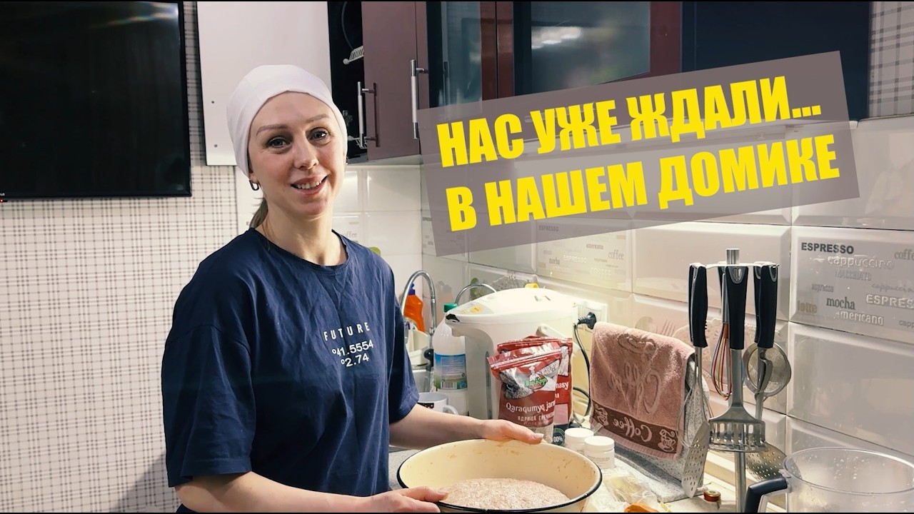 Поехали протопить печку. Наши хозяева в домике никуда не делись / Разговорный влог на кухне