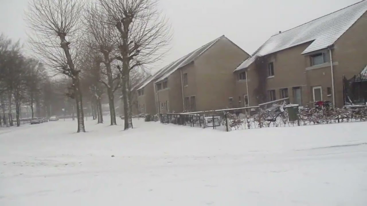 Winterbeelden 2026