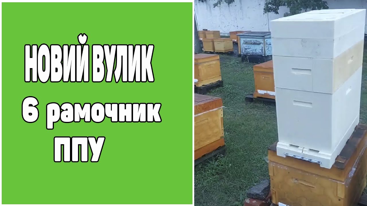 Новий вулик ППУ на 6 рамок. Найкращий нуклеус