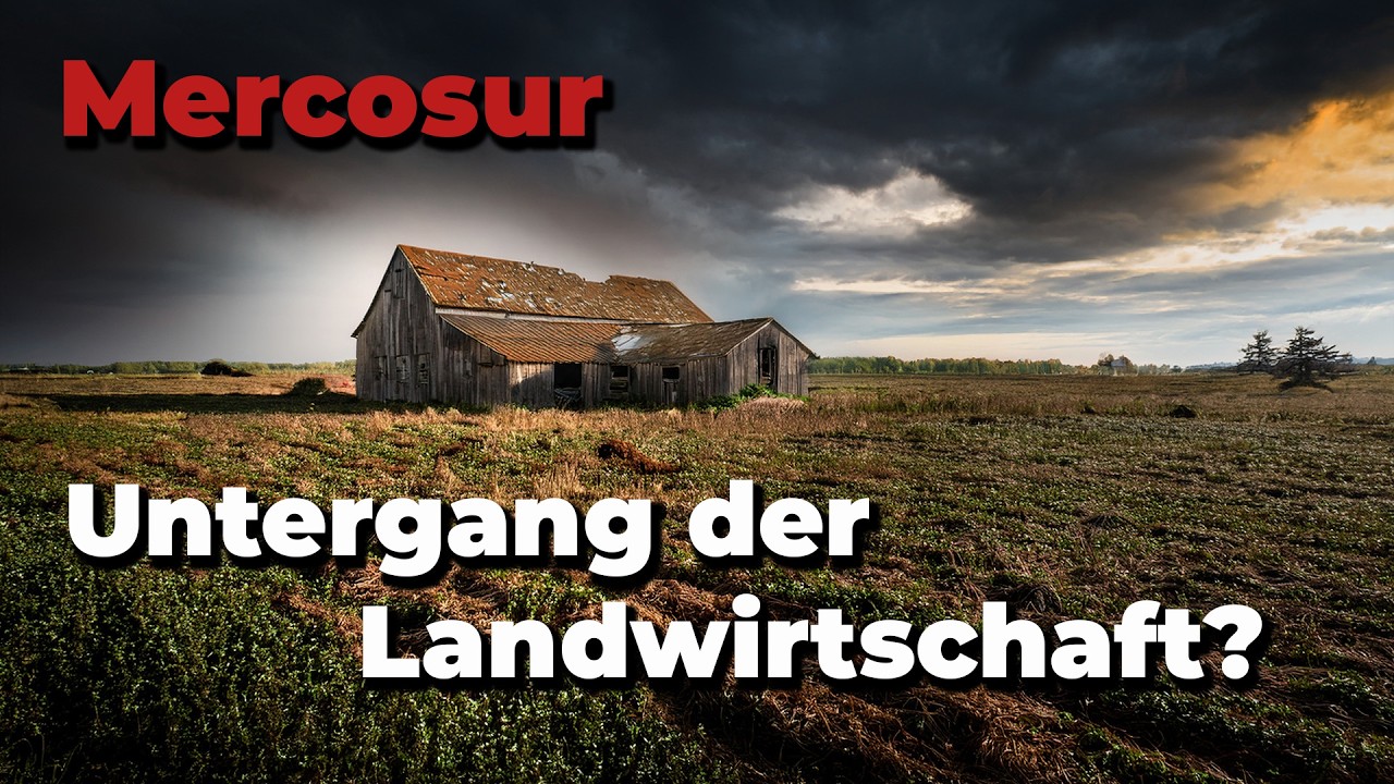 Neue Bauern Proteste! Grund : Mercosur! Welche Auswirkung hat es f&uuml;r die Landwirtschaft