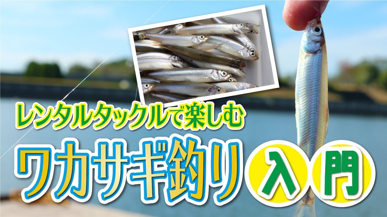 手ぶらでOK！ワカサギ釣り入門【レンタルタックルで楽しむ】