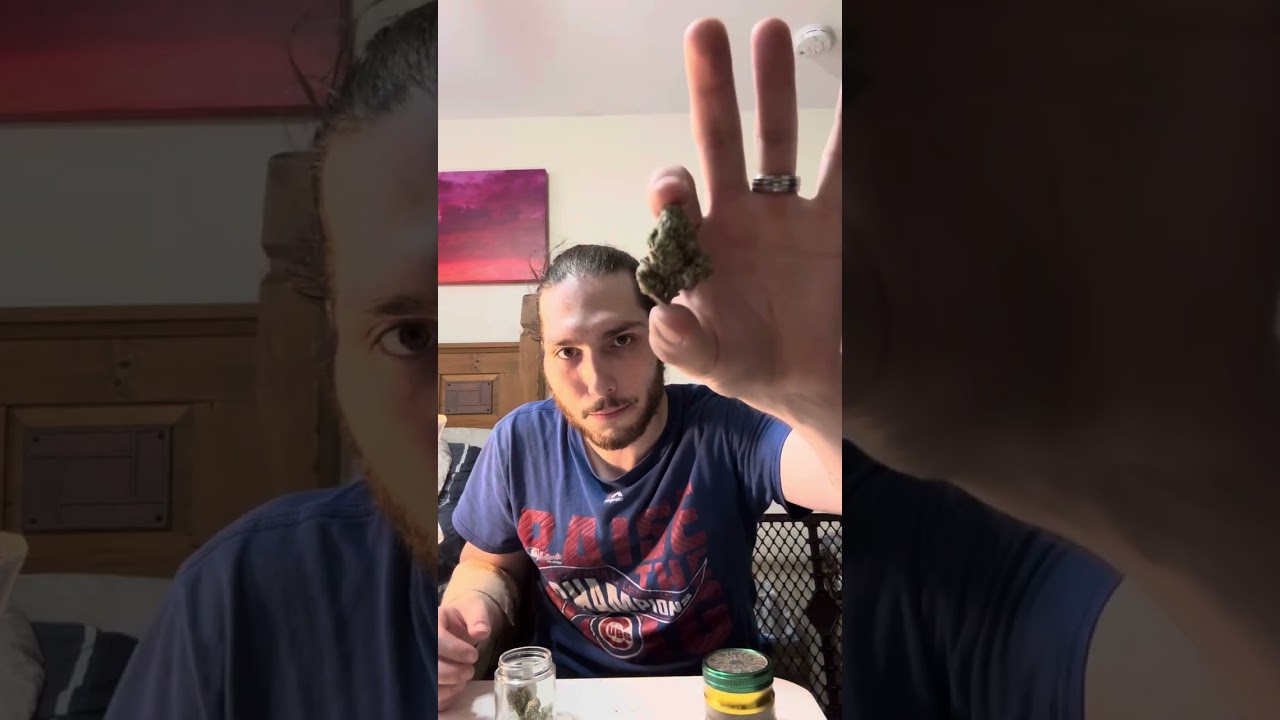 New High Haven dispensary Review/Fig Farms California cannabis GMO-SHERB