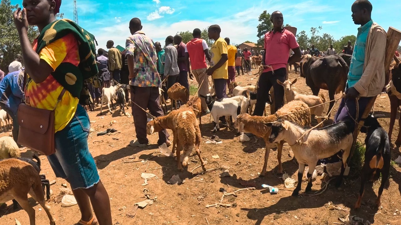 Largest rural village market day in Lira Uganda East Africa 🌍 Cost of living in an African village🇺🇬