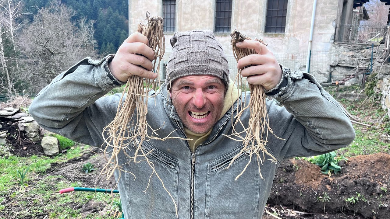 🌱От зелени огорода до белизны гор🏔️… и до серости домашних работ!🏚️ Эпизод 14
