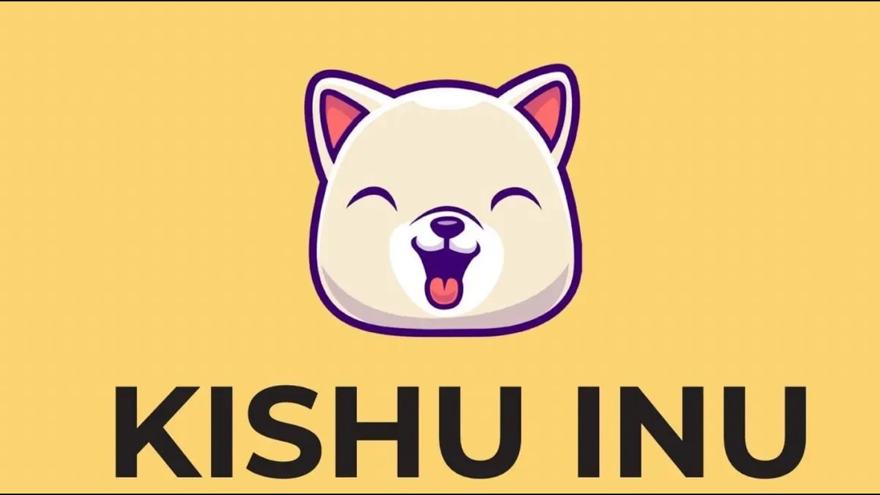 THIS IS WHY KISHU INU IS PUMPING NON-STOP!