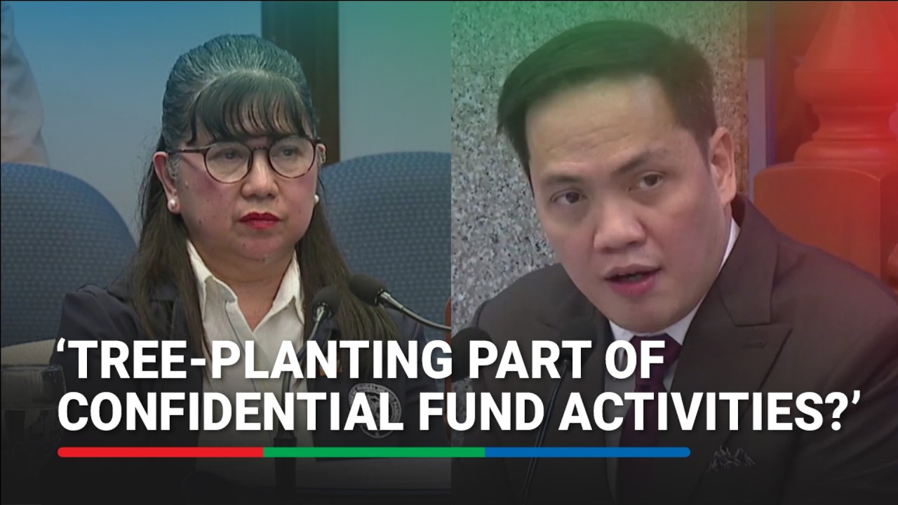 Prosecution questions witness on OVP good governance program | ABS-CBN News